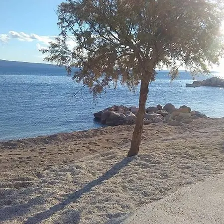 Cizmic Dugi Rat